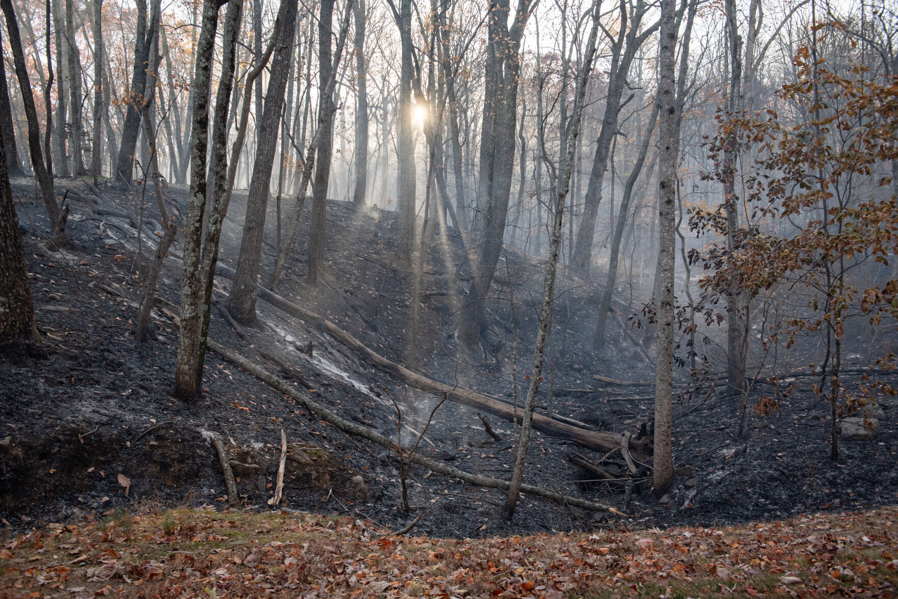 Pilot Mountain Fire Damage